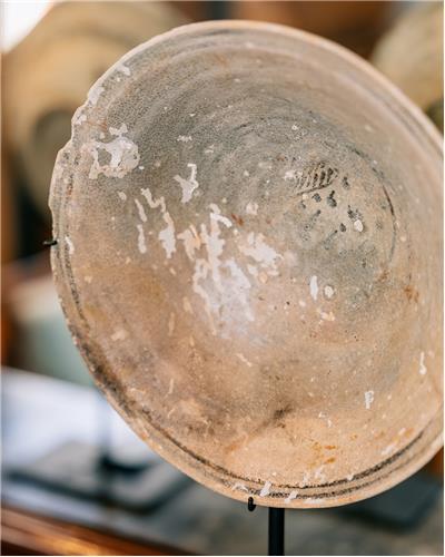 Amorphous - Bowl