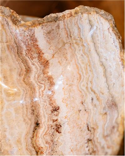 Amorphous - Fossilized Wood Bowl