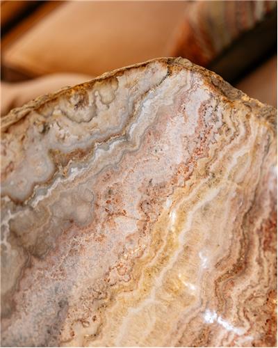 Amorphous - Fossilized Wood Bowl