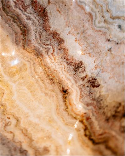 Amorphous - Fossilized Wood Bowl