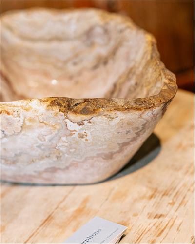 Amorphous - Fossilized Wood Bowl