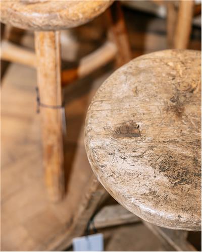 Amorphous - Wooden Stool