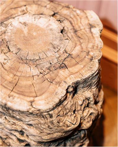Amorphous - Date Wood Table