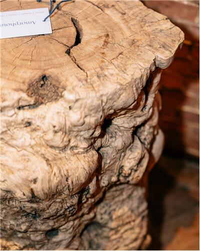 Amorphous - Date Wood Table