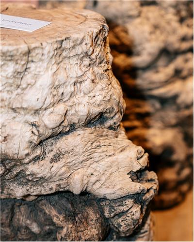 Amorphous - Date Wood Table