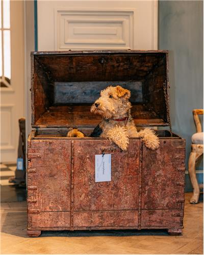 Amorphous - Wooden Chest