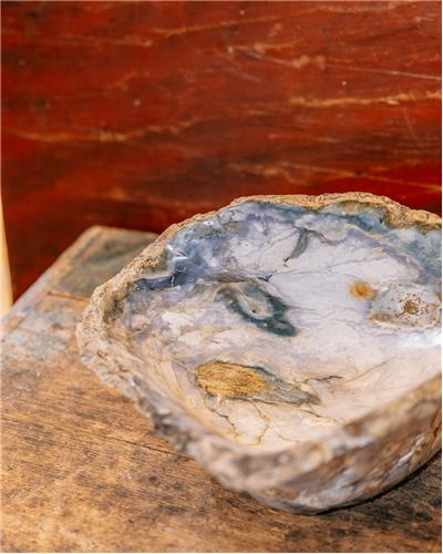 Amorphous - Fossilized Wood Bowl