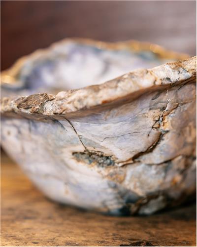 Amorphous - Fossilized Wood Bowl