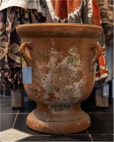 Amorphous - Pot