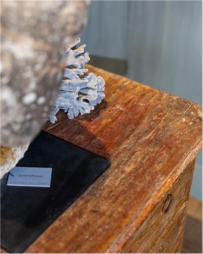 Amorphous - Chest of Drawers