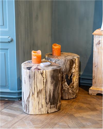 Amorphous - Fossilized Wood