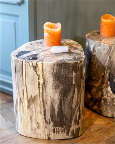 Amorphous - Fossilized Wood