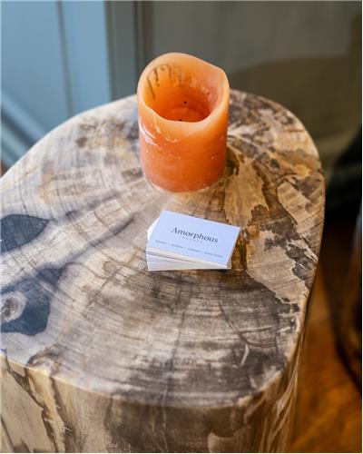 Amorphous - Fossilized Wood