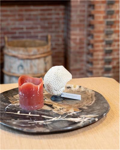 Amorphous - Coffee Table