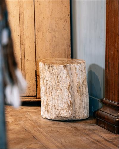 Amorphous - Fossilized Wood Table