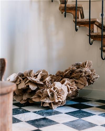 Amorphous - Desert Rose