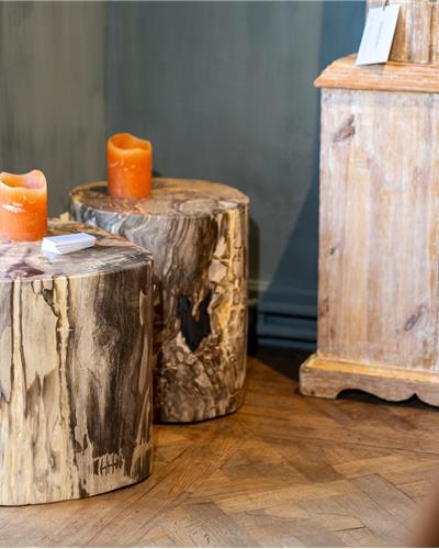 Amorphous - Fossilized Wood